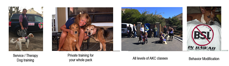 Dog and Puppy training Poway and Ramona